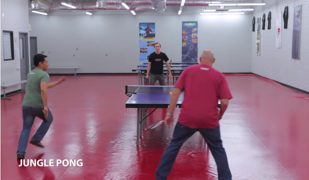 Fun Games By JOOLA: Jungle Pong & Floor Pong
