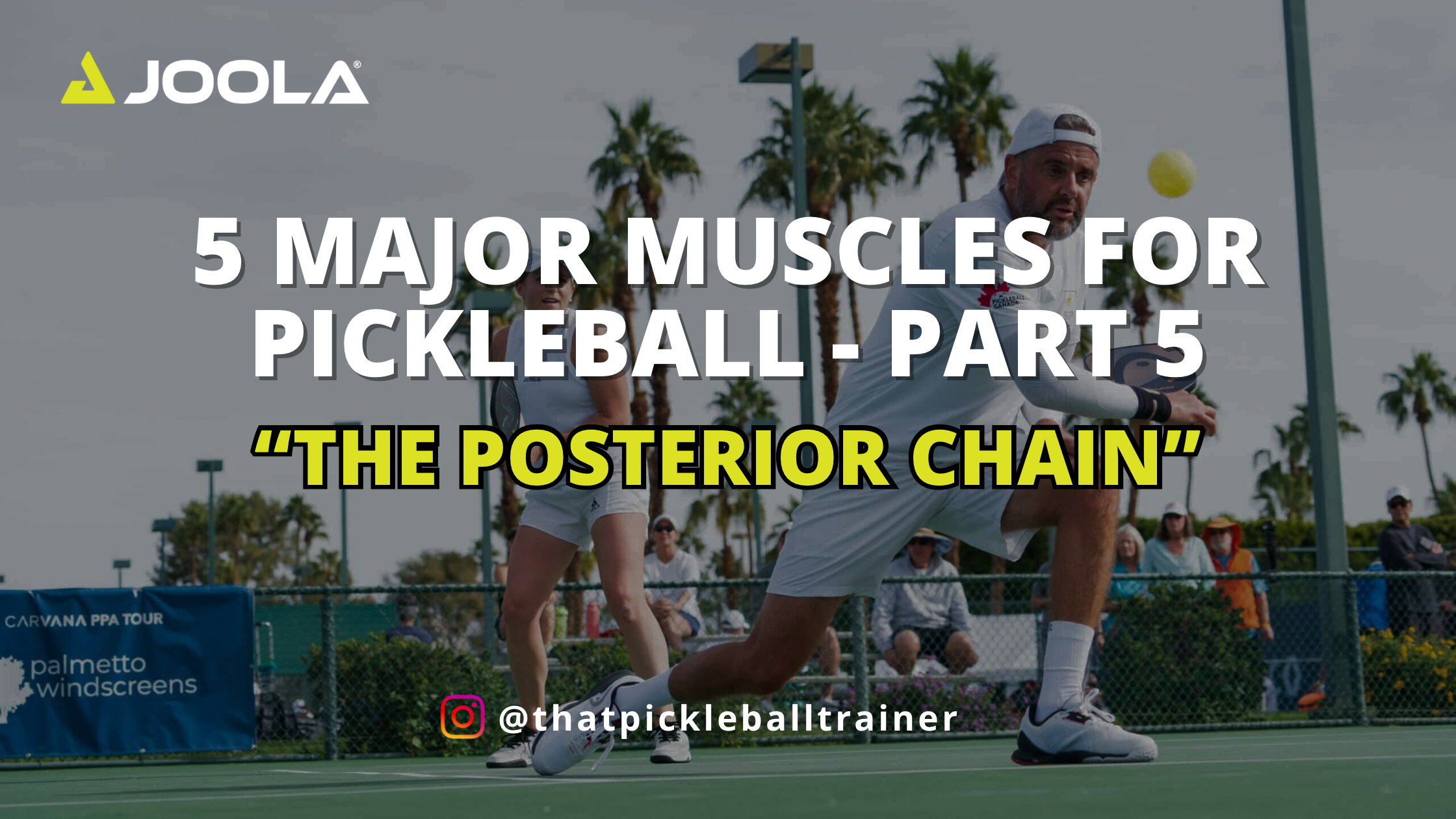 The Crucial Role of a Strong Posterior Chain in Pickleball